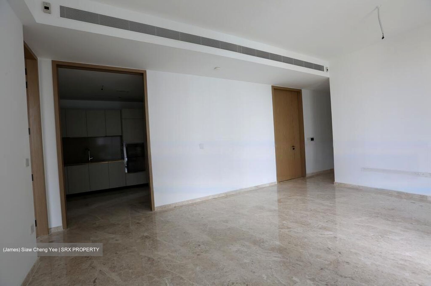 The Avenir (D9), Condominium #458746491